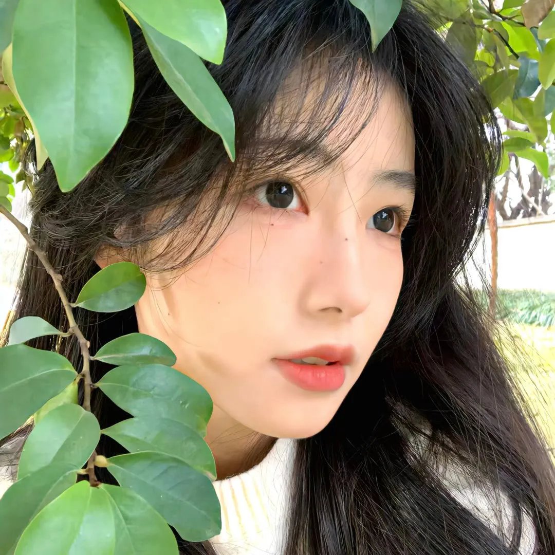 许我耀眼